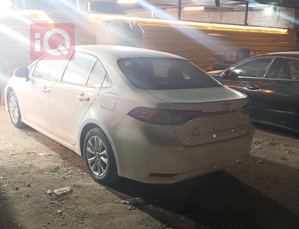 تويوتا كورولا